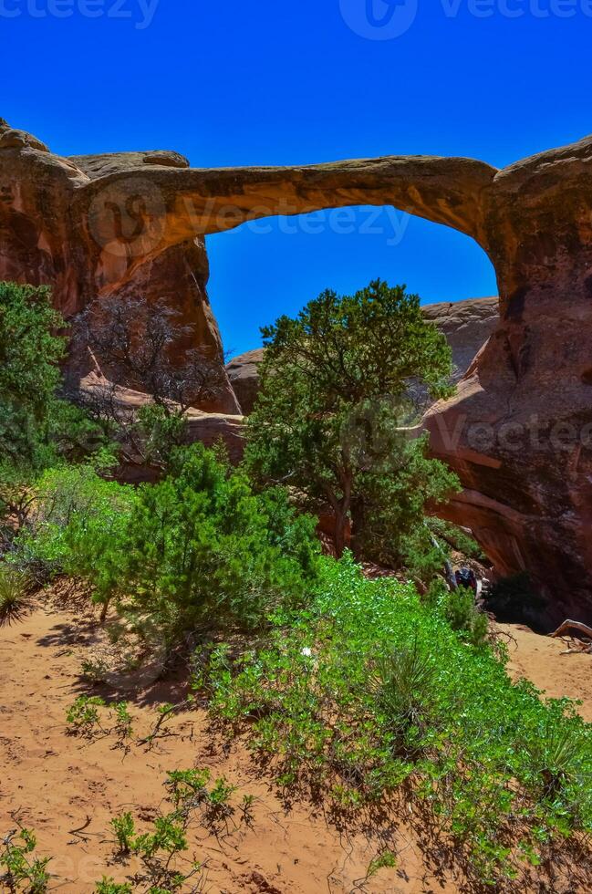 Oblique view of Double O Arch. Arches National Park, Utah, MOAB, US photo
