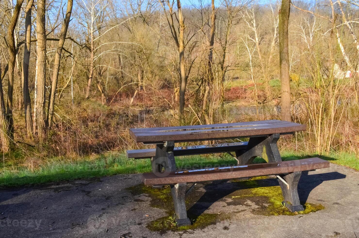 Wet Table and benches for relaxing in the forest after rain. photo