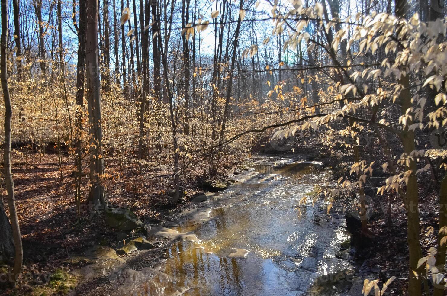 Reflection of the sun in the water, a small river in the autumn in the forest in the parkon Brandywine Creek in Cuyahoga Valley National Park, Ohio. USA photo