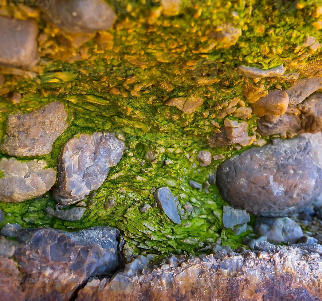 Bubbling freshwater green filamentous algae in rainwater running down rocks on Snake Zmeiniy Island photo