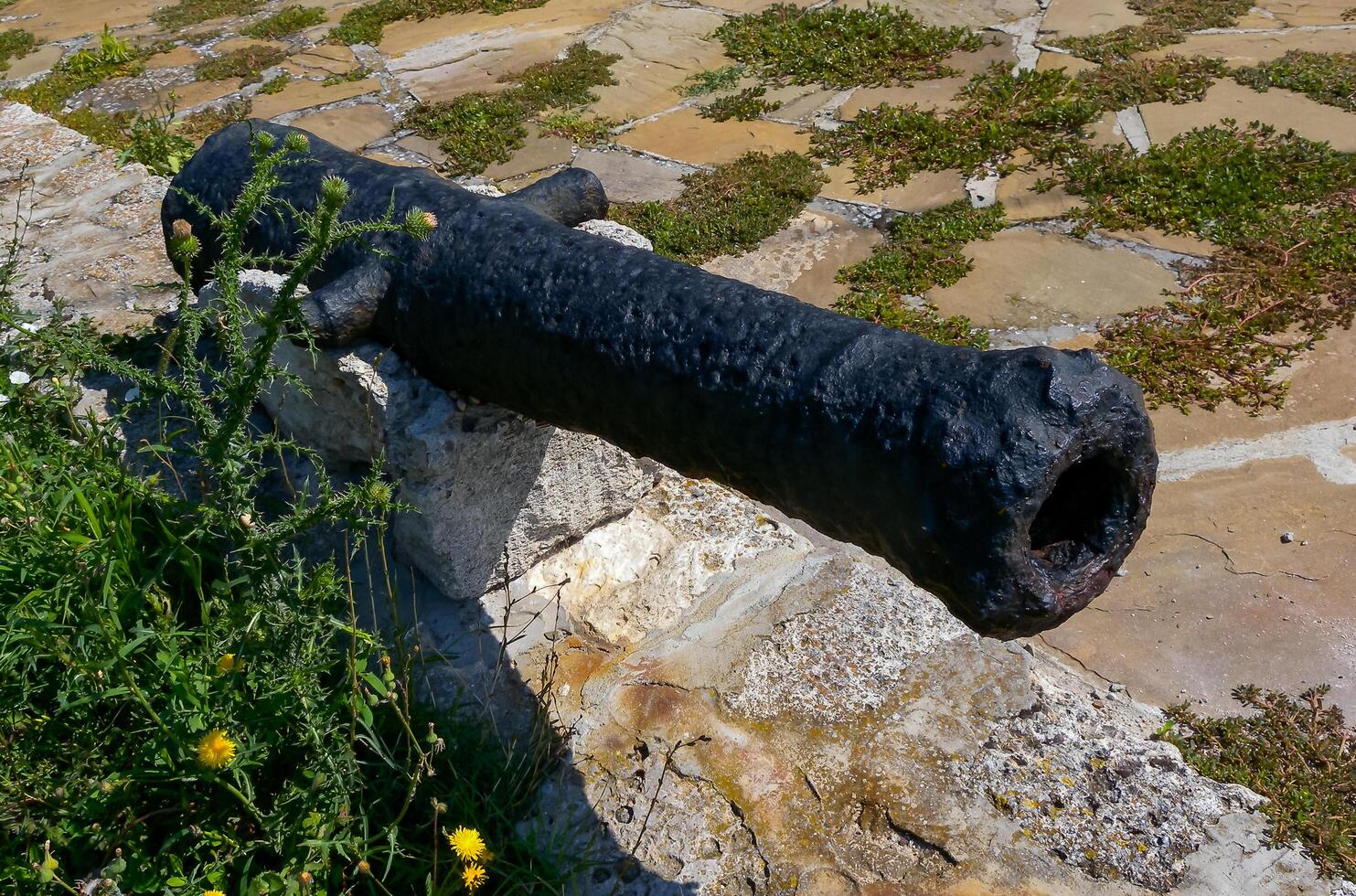 BULGARI, BLACK SEA - AUGUST 26, 2014 - an ancient iron cannon raised from under the water in the Black Sea photo