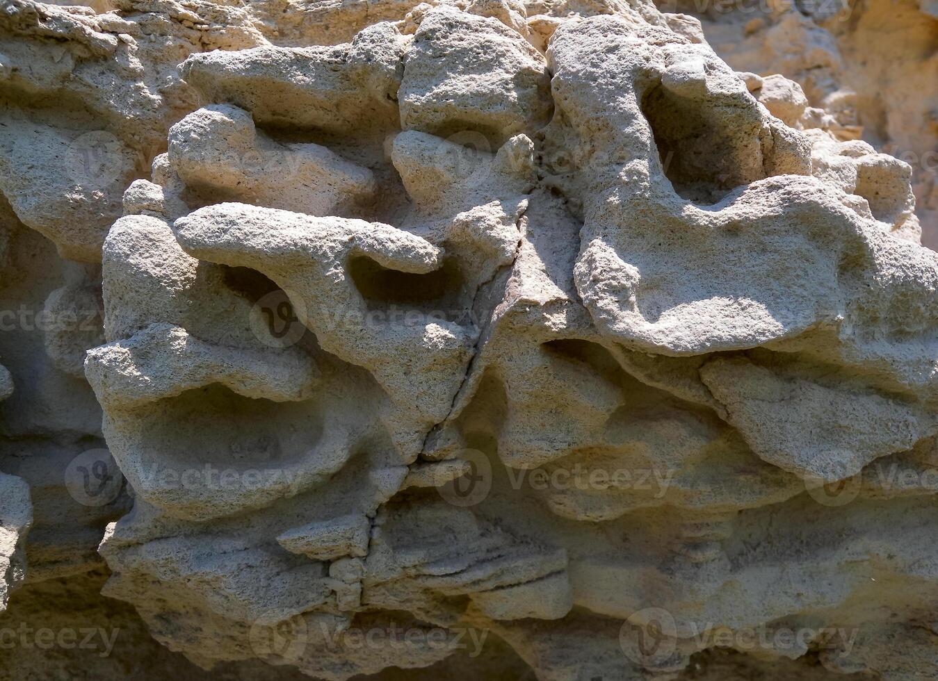 Weathering of carbonate sedimentary rocks, shell rocks of Cape Kaliakra photo