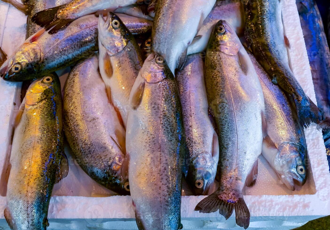 Sale of fish from the Black and Mediterranean Sea at the fish market in Trabzon photo