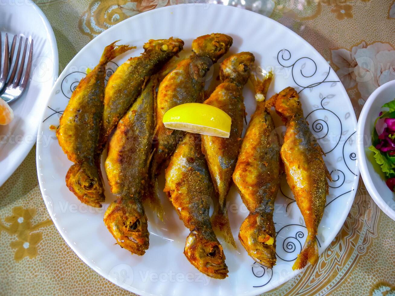 Fried fish Black Sea horse mackerel on a white plate photo