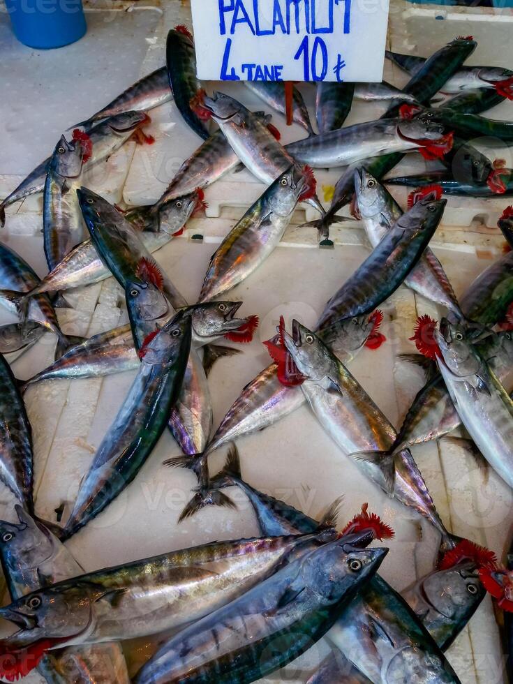 Sale of fish from the Black and Mediterranean Sea at the fish market in Trabzon photo