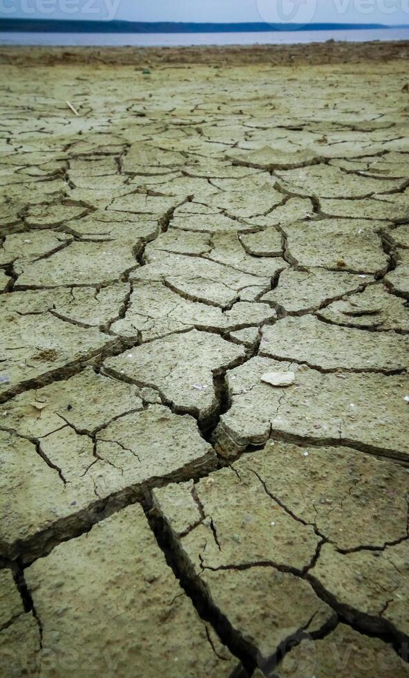 Healing silt dried up and cracked in the sun on the shore photo