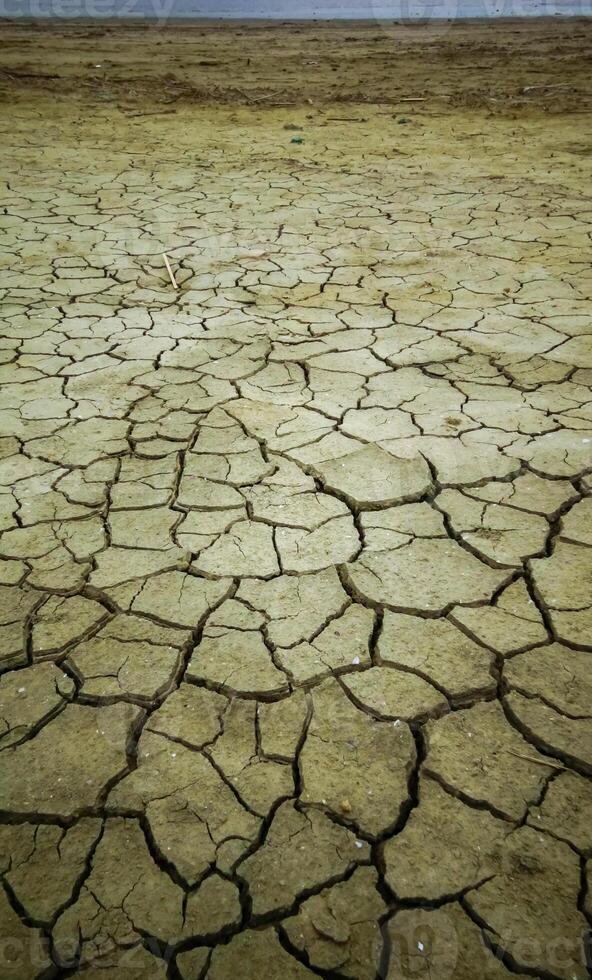Healing silt dried up and cracked in the sun on the shore photo