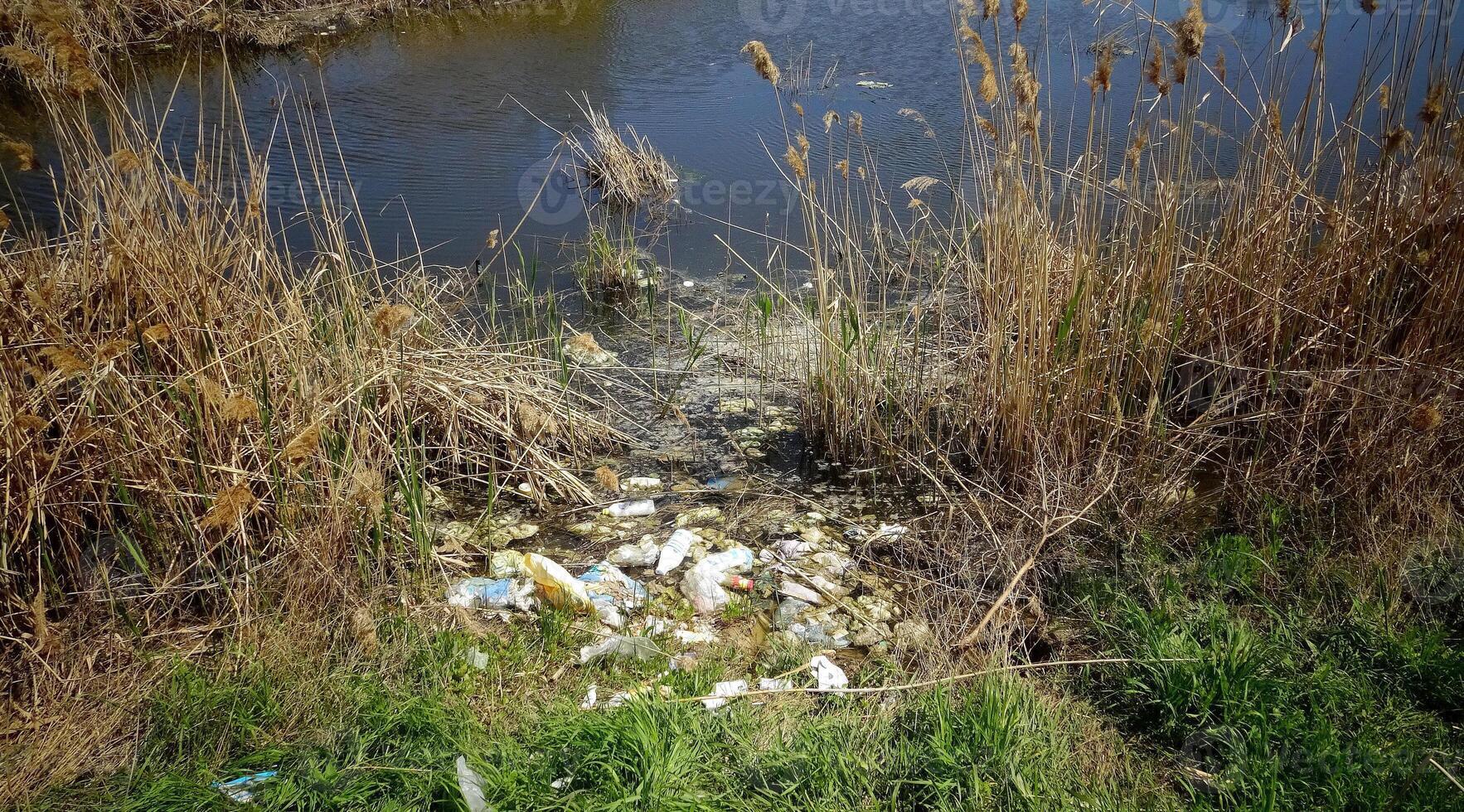 Plastic garbage on the shore in Hadzhibeysky estuary. Eutrophication of the reservoir, the problem of ecology photo
