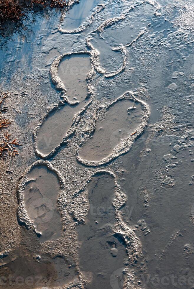 Traces of human feet on the muddy bottom in the Kuyalnik estuary, where salt was mined in the 18th century photo