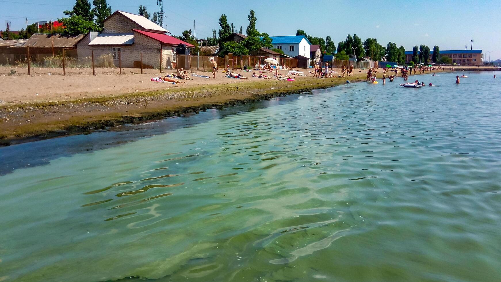 UKRAINE, ODESSA - JUNE 08, 2019 - a toxic blue-green algae Nodularia spumigena, ecological disaster photo