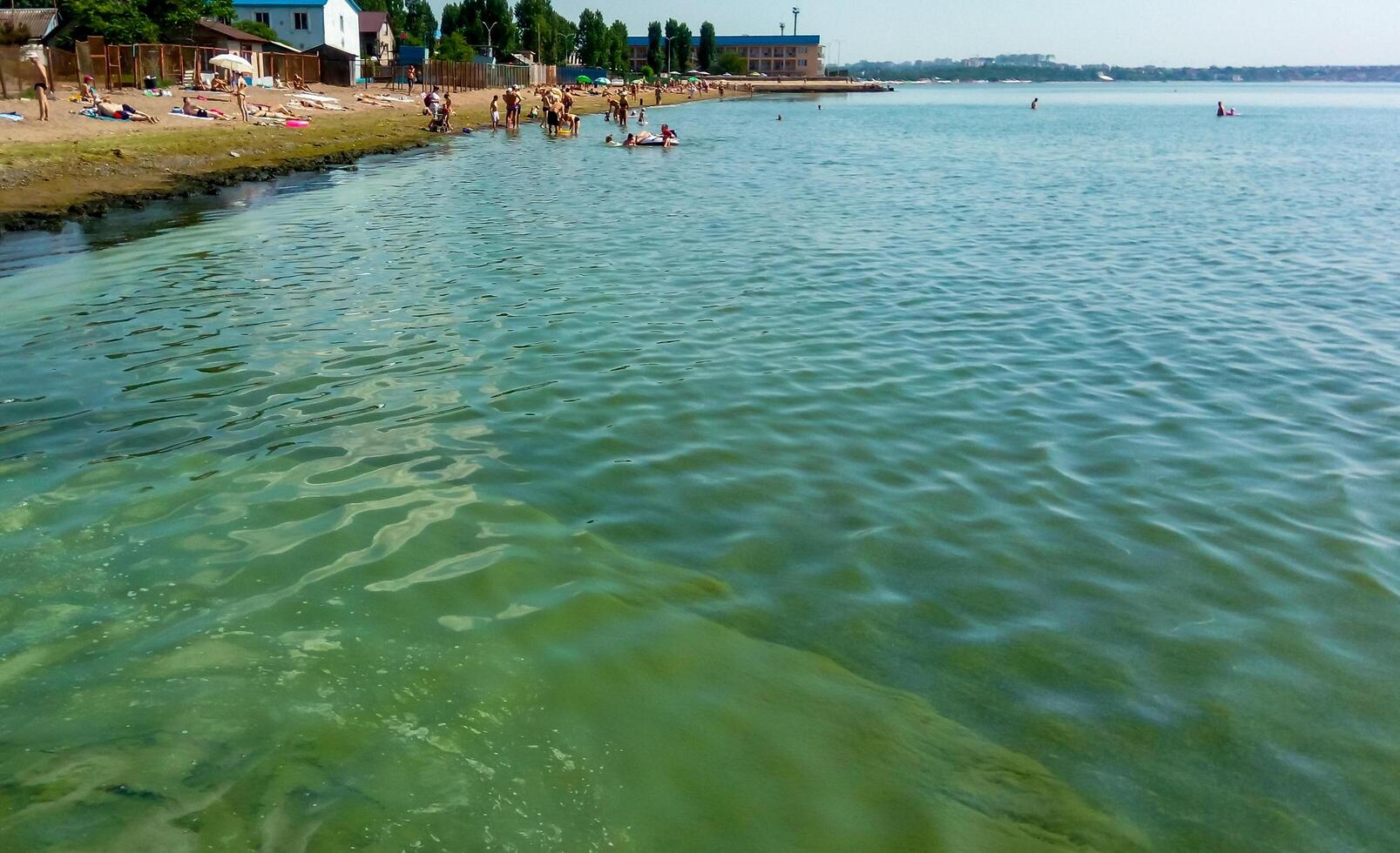 UKRAINE, ODESSA - JUNE 08, 2019 - a toxic blue-green algae Nodularia spumigena, ecological disaster photo