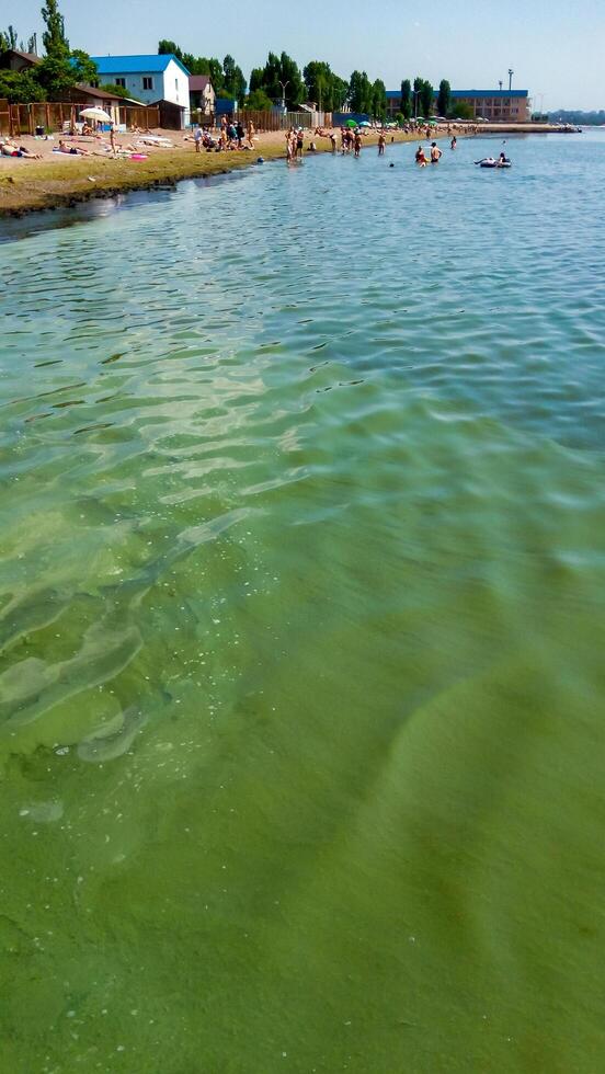 UKRAINE, ODESSA - JUNE 08, 2019 - a toxic blue-green algae Nodularia spumigena, ecological disaster photo
