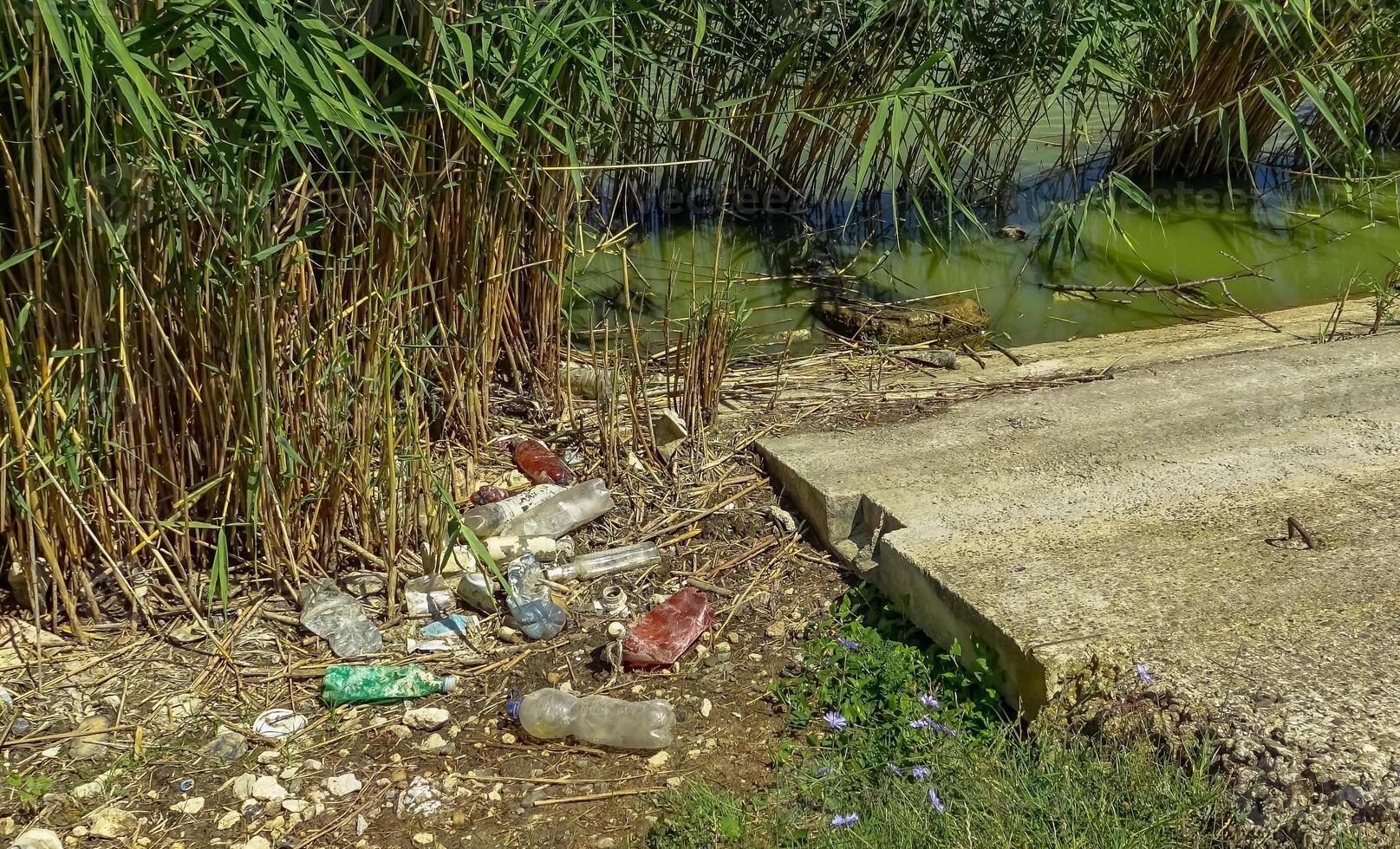 Wildlife plastic pollution, garbage and propylene bottles on the shore of the lake photo