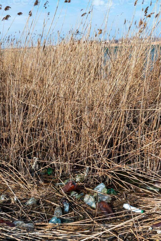 Pollution with plastic waste and microplastics on the shore of the Khadzhibey estuary photo