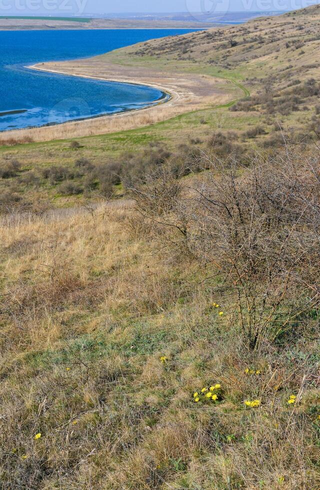 Steppe landscape, shore of the Tiligul estuary in spring, south of Ukraine photo