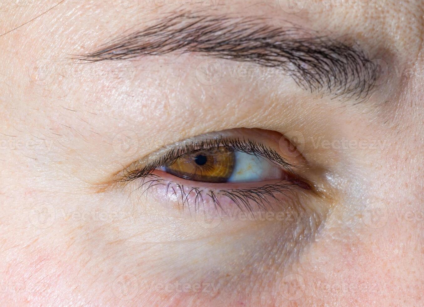 close-up of a human eye, eyelids and eyelashes on a girl's face photo