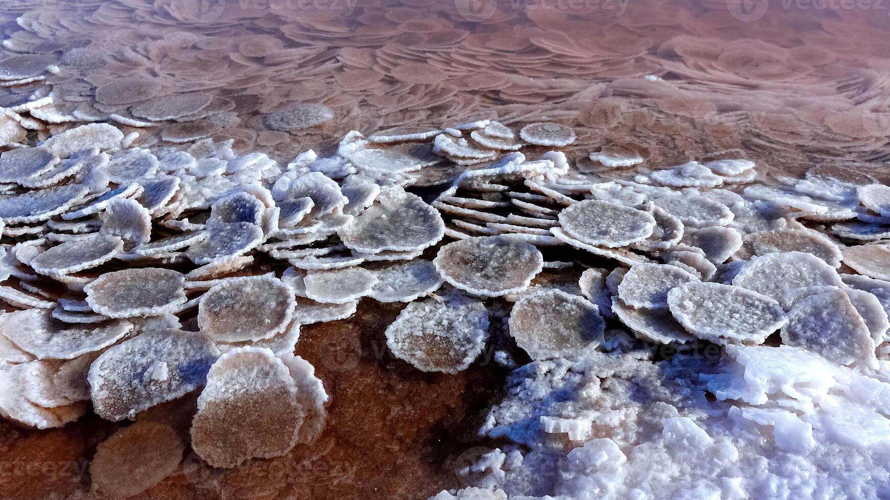 Kuyalnik estuary, Black Sea. Table salt in the form of round pancakes at the bottom and the bank of the estuary. Table salt crystals photo