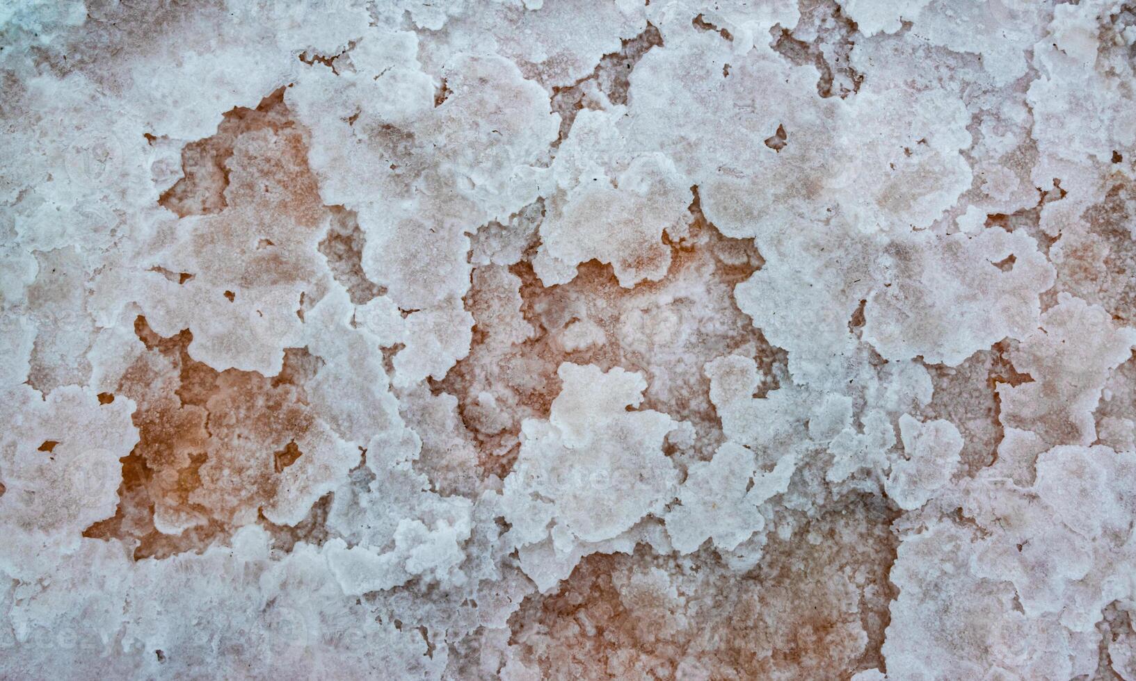Drying and shallowing of the Kuyalnitsky estuary, salt in the form of crystalline forms at the bottom of a dried-up reservoir photo