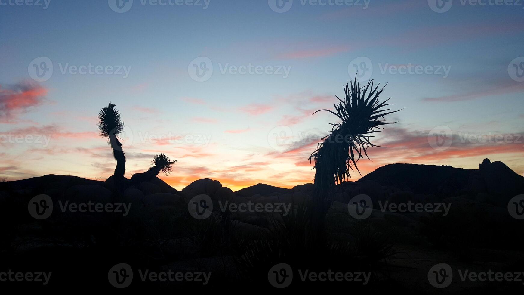 Sunset at Joshua Tree National Park, California photo