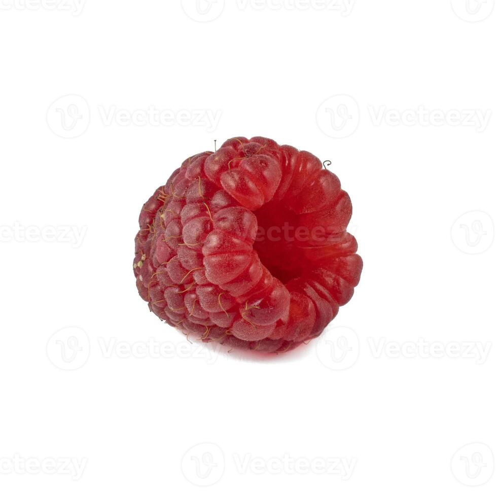 Isolated berry. One fresh raspberry fruit isolated on white background photo