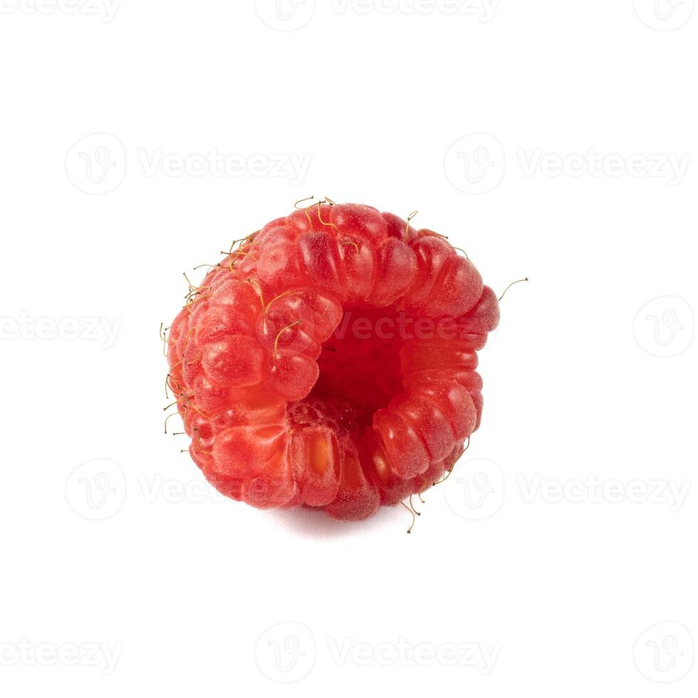 Isolated berry. One fresh raspberry fruit isolated on white background photo