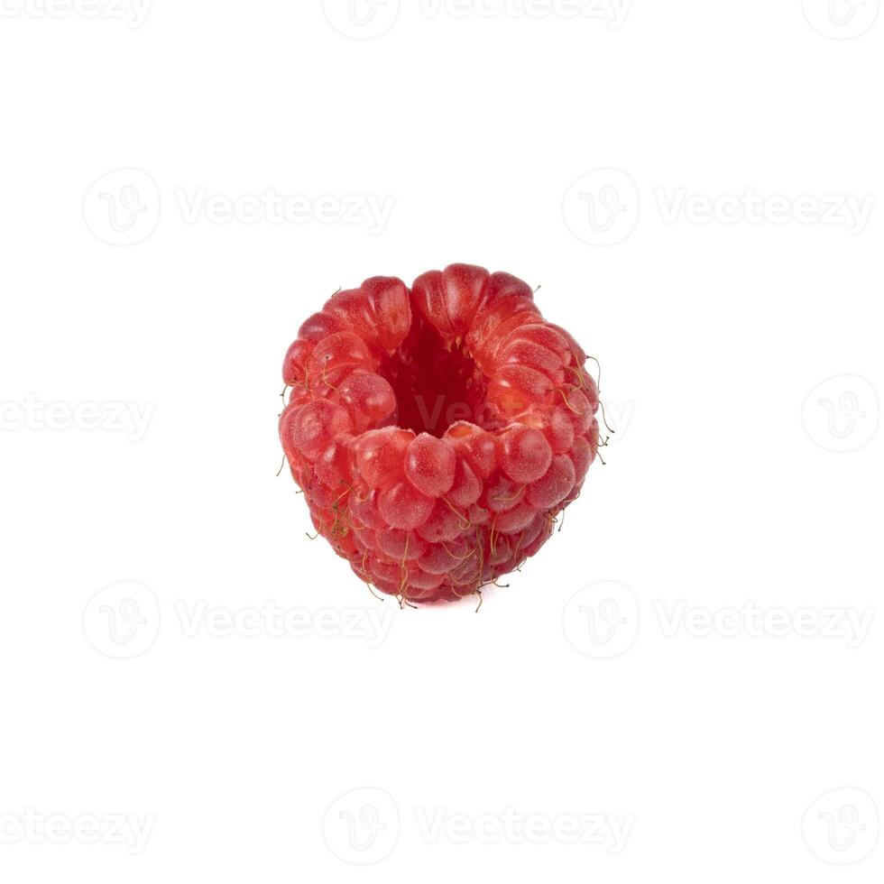 Isolated berry. One fresh raspberry fruit isolated on white background photo