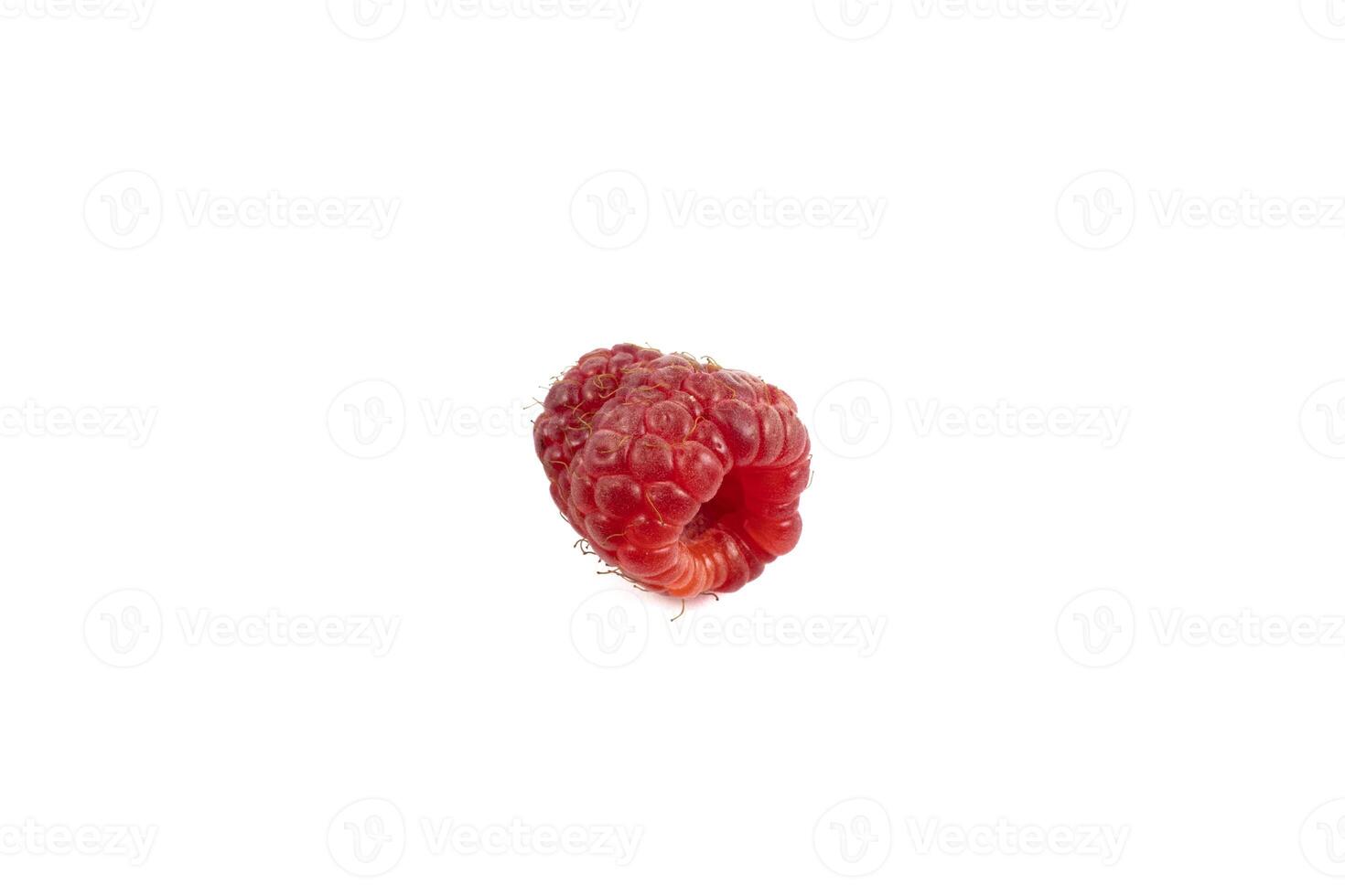 Isolated berry. One fresh raspberry fruit isolated on white background photo
