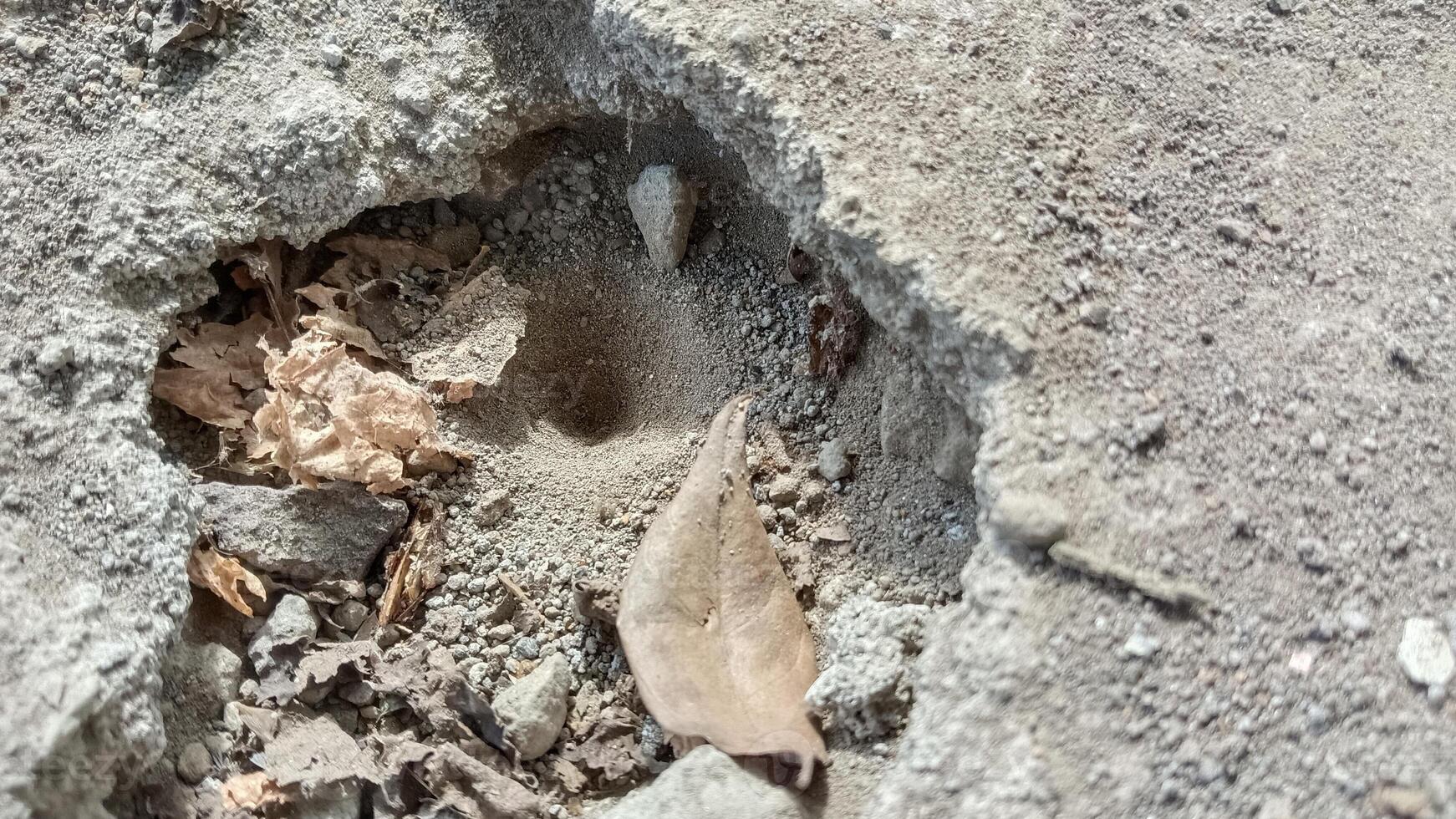 A small hole in the ground with a leaf and other debris around it. photo