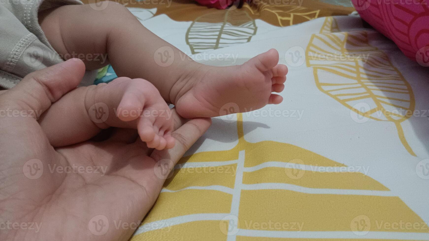 A close-up of a baby's tiny feet being held by a parent's hand. photo