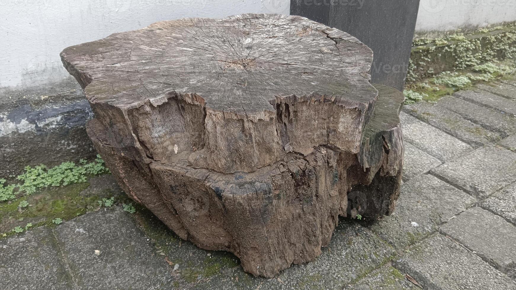 A weathered tree stump sits on a brick walkway with moss and green plants growing around it. photo