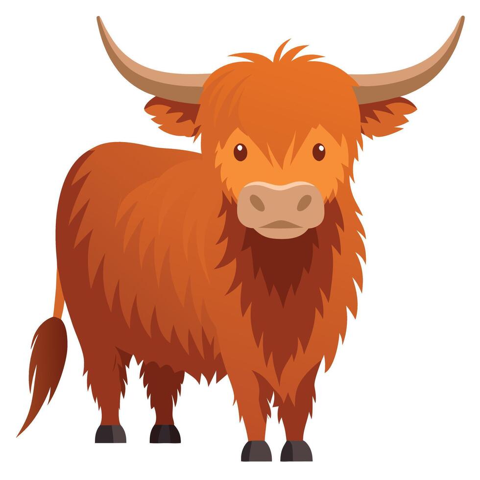 Highland cow illustration vector
