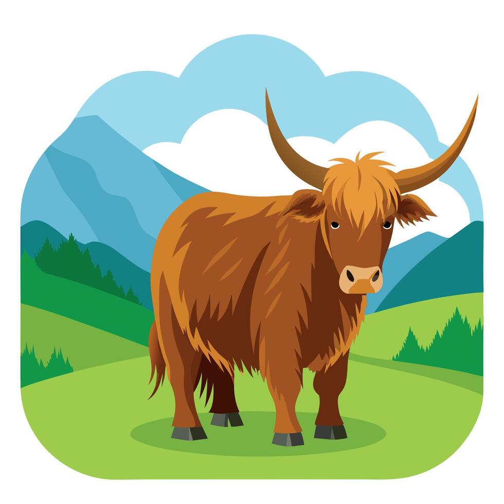 Highland cow in the field vector