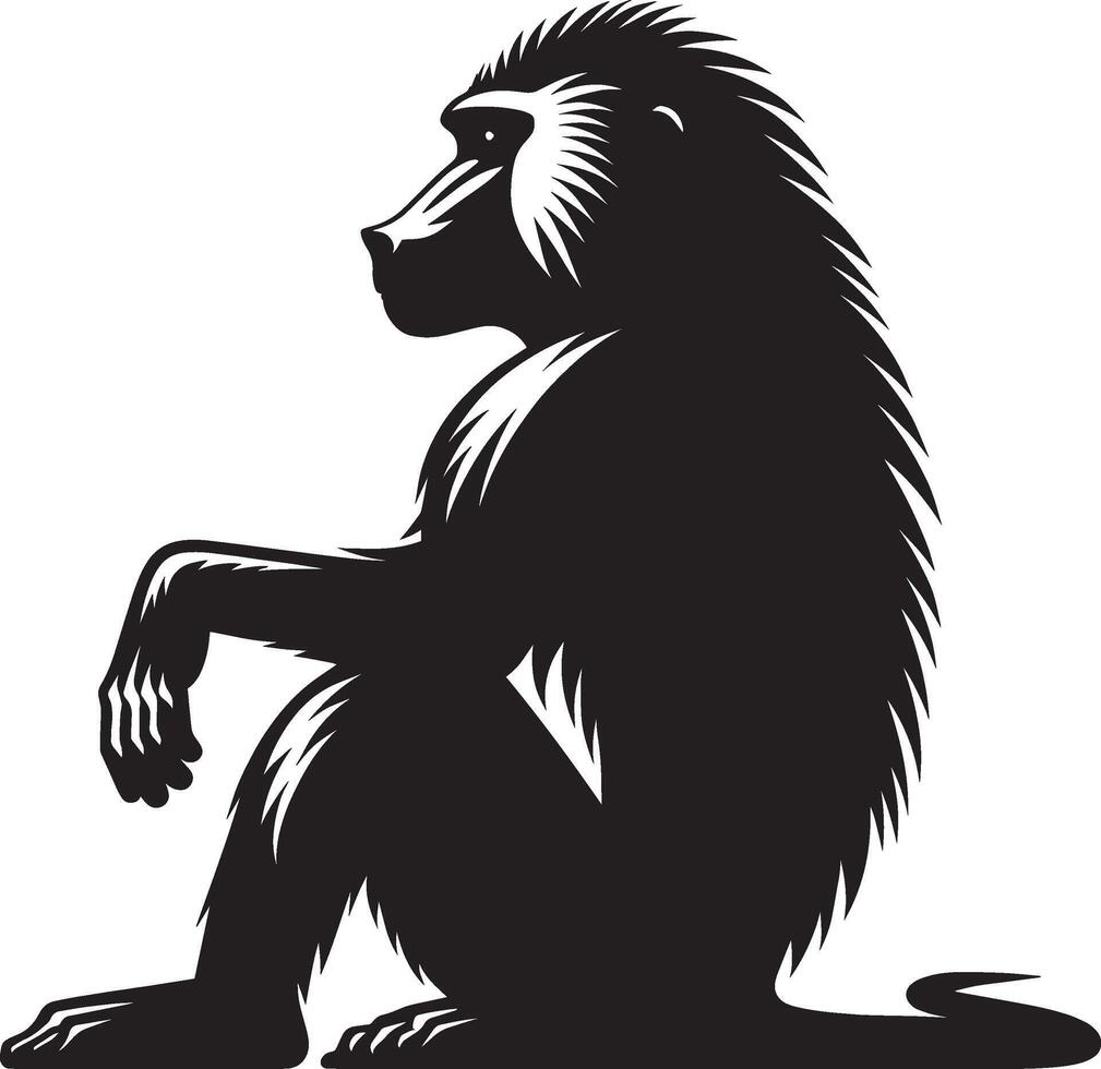 PriIsolated Baboon Monkey Animal Silhouette on White vector