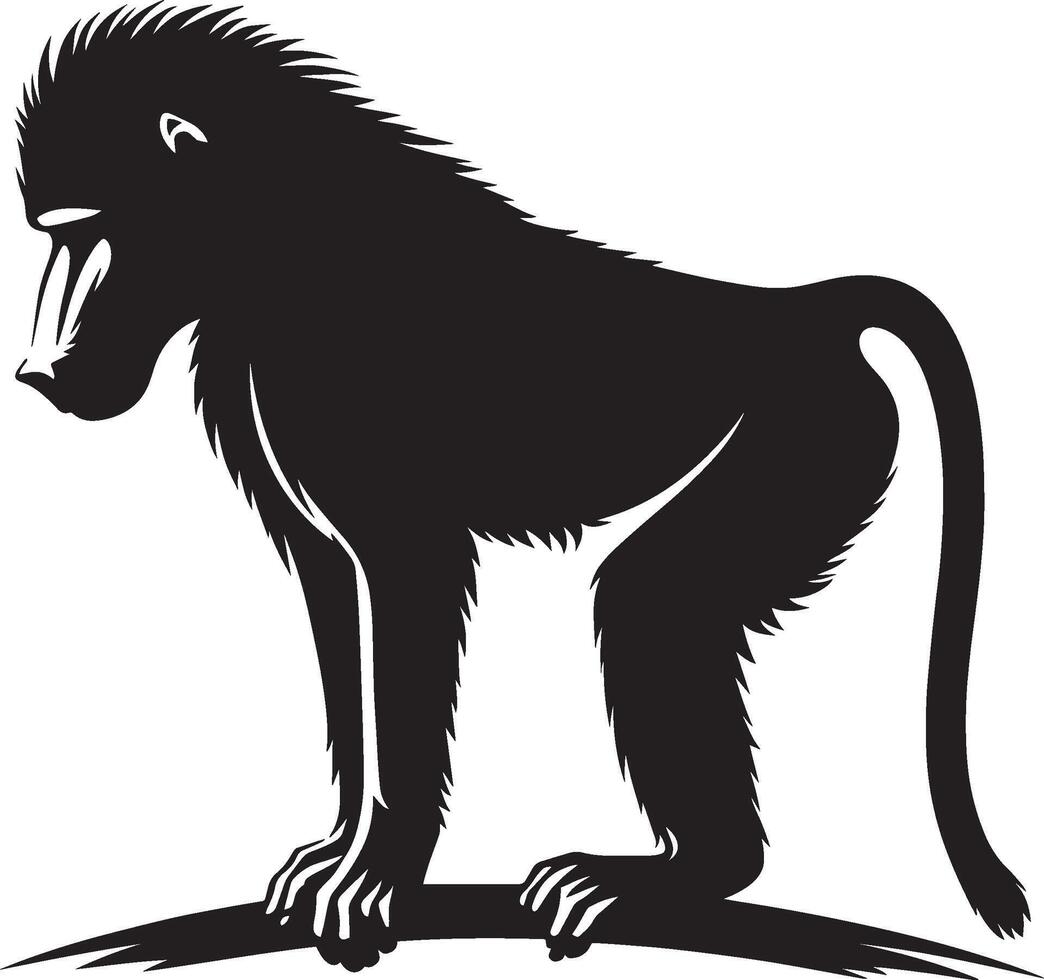 Silhouette Baboon Monkey Animal on a Plain White Background vector