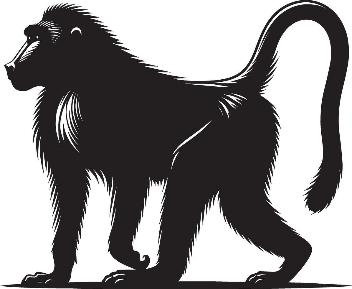 Baboon Monkey Silhouette of Animal Against White Background vector