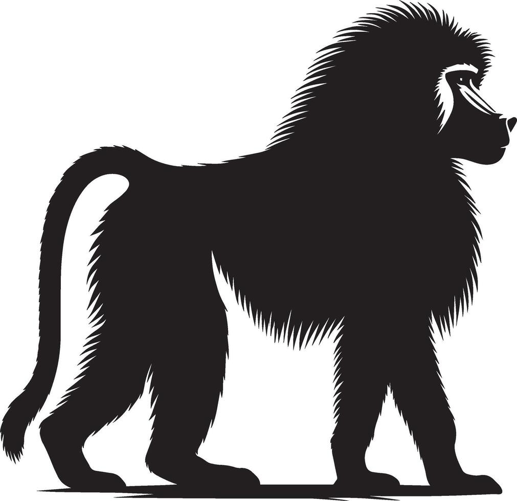 Animal Silhouette of Baboon Monkey Placed on White Background vector