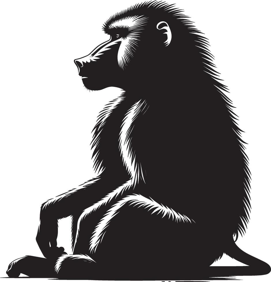 Silhouette of a Baboon Monkey Animal Isolated on White vector