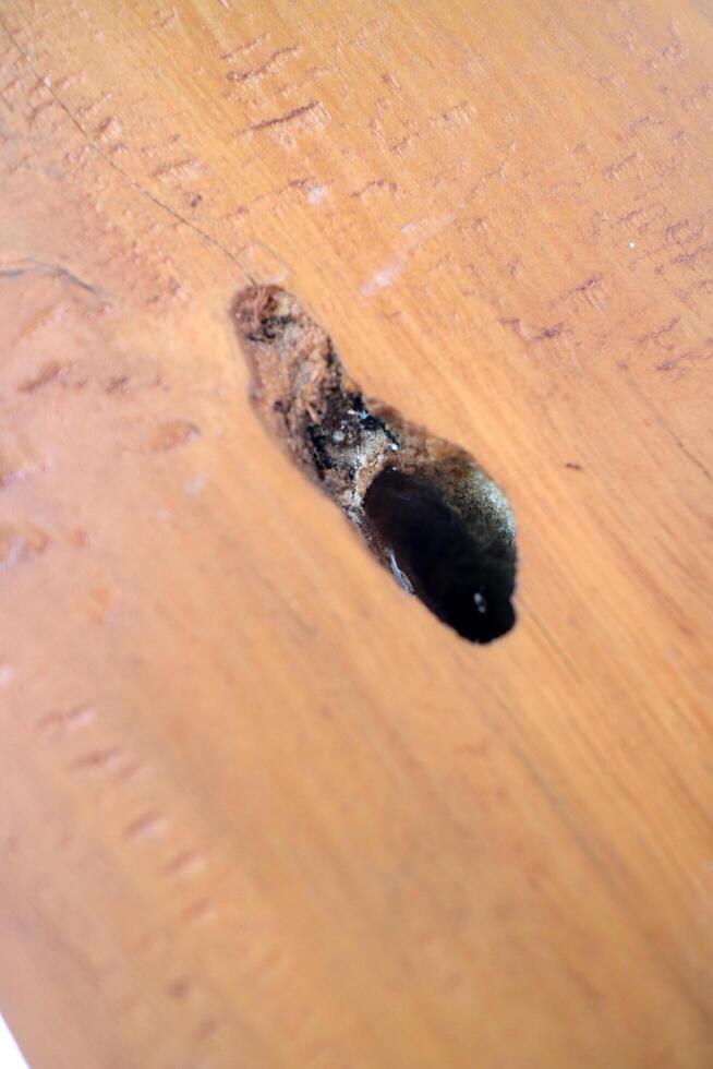 a Black hole on wooden table photo