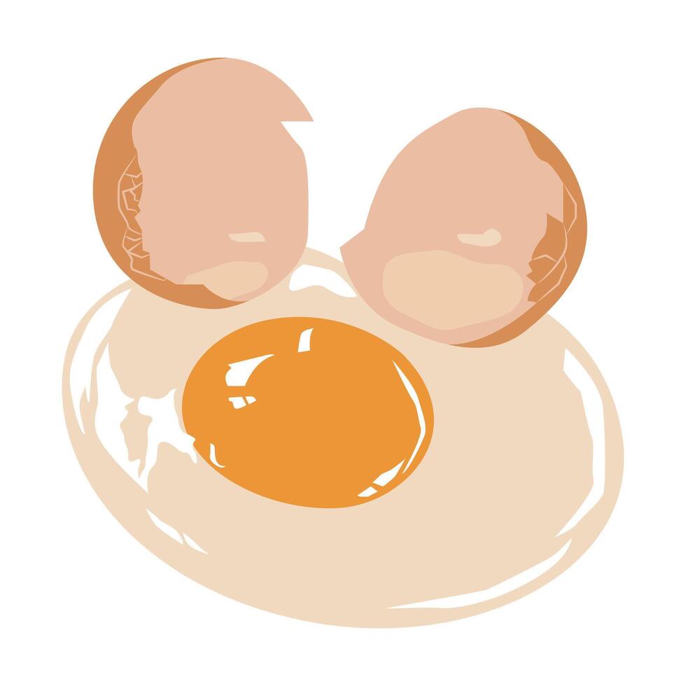 Cracked egg shell, raw egg, fried egg. vector