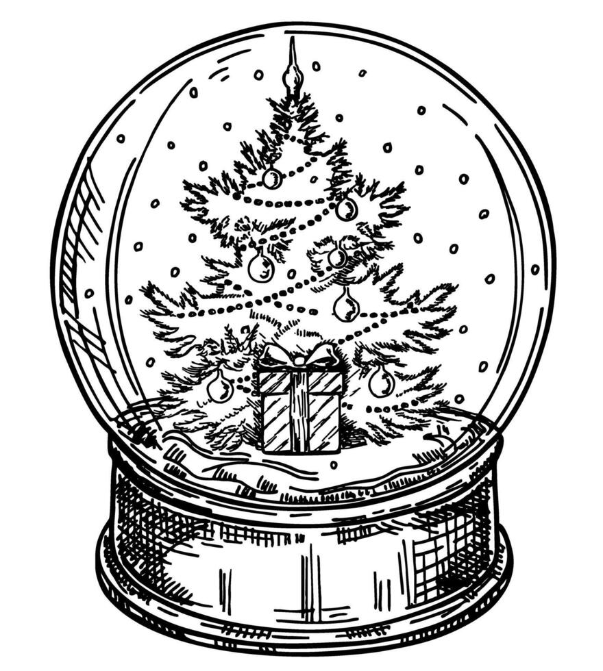 Christmas snow globes with Christmas tree. Glass snow globe sketch. Merry Christmas and Happy new Year holiday greeting card vector