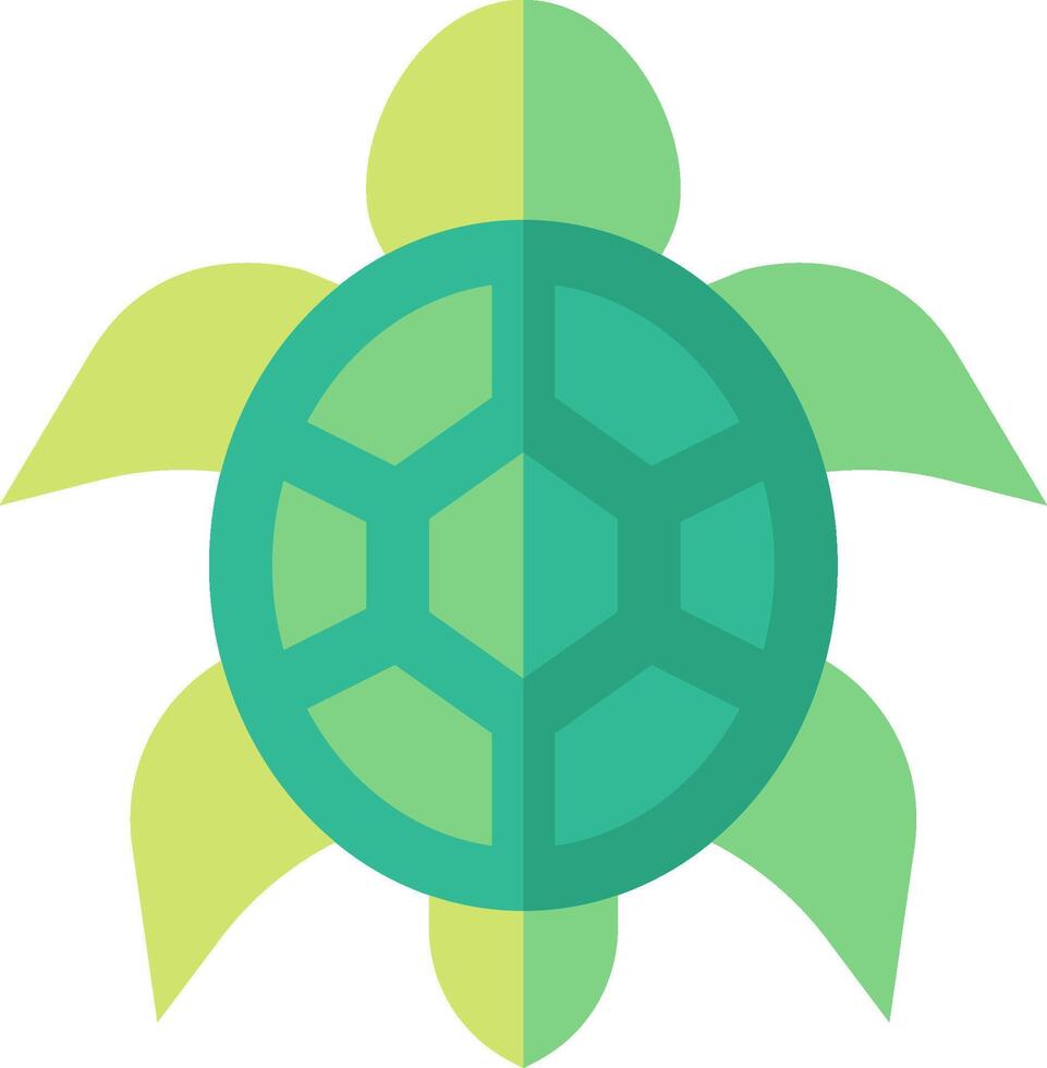 turtle illustration design vector