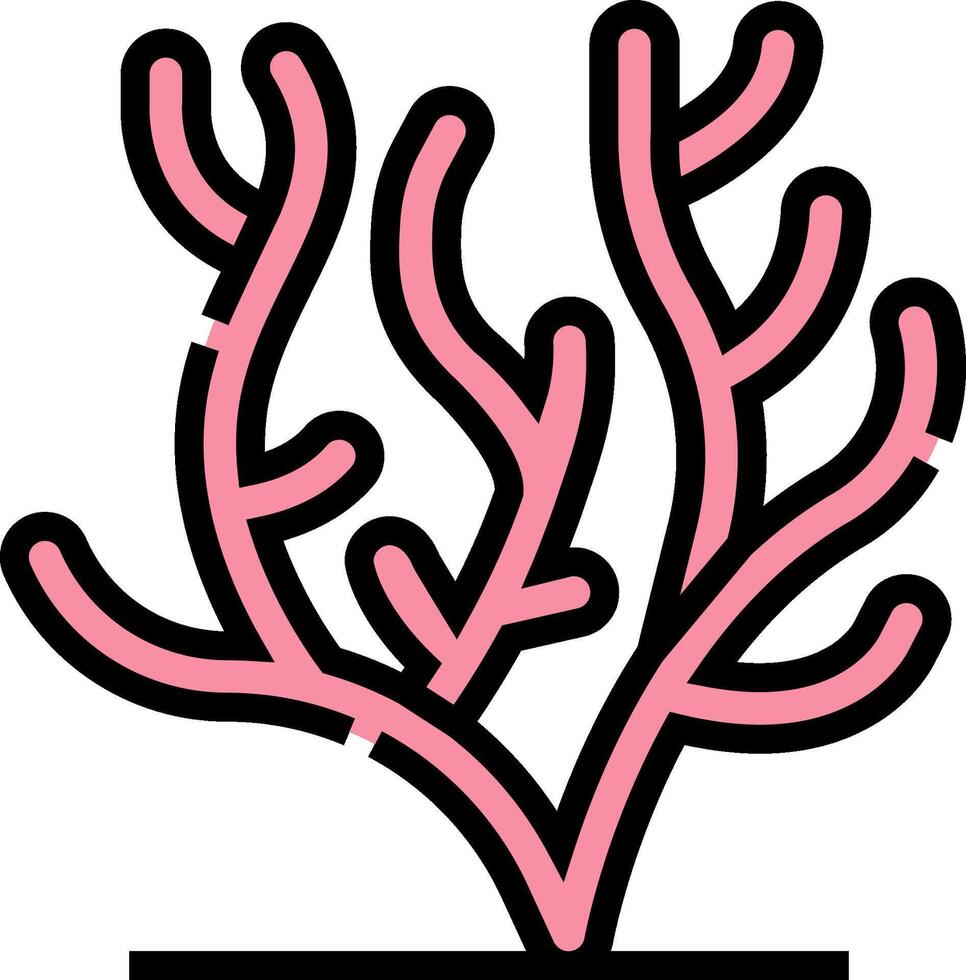 coral illustration design vector