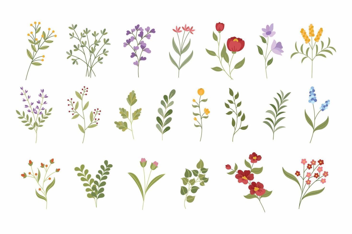 a collection of different types of flowers vector