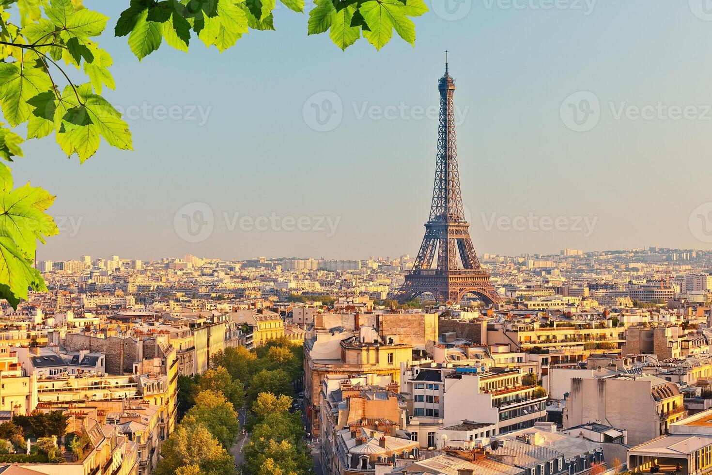 View on Eiffel tower at sunset photo