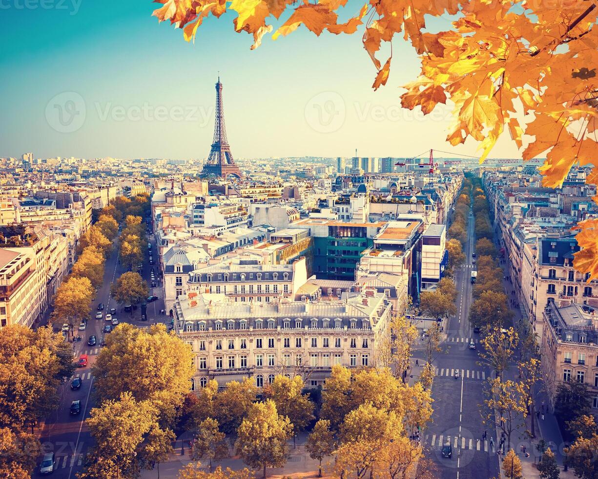 View on Eiffel tower at sunset photo