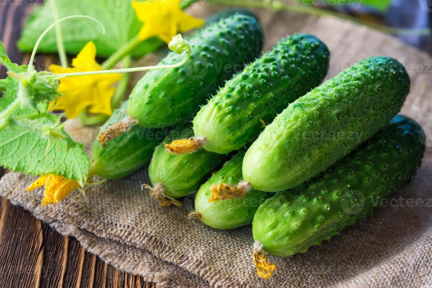 cucumbers on the wooden background photo
