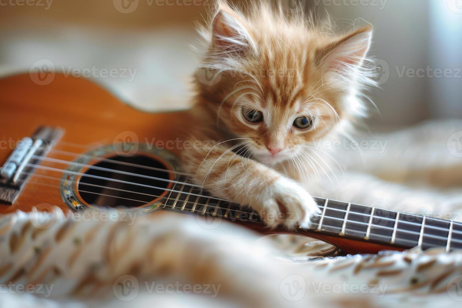 Cute Kitten Engaged with a Guitar, Capturing a Fun and Playful Scene Full of Joy photo