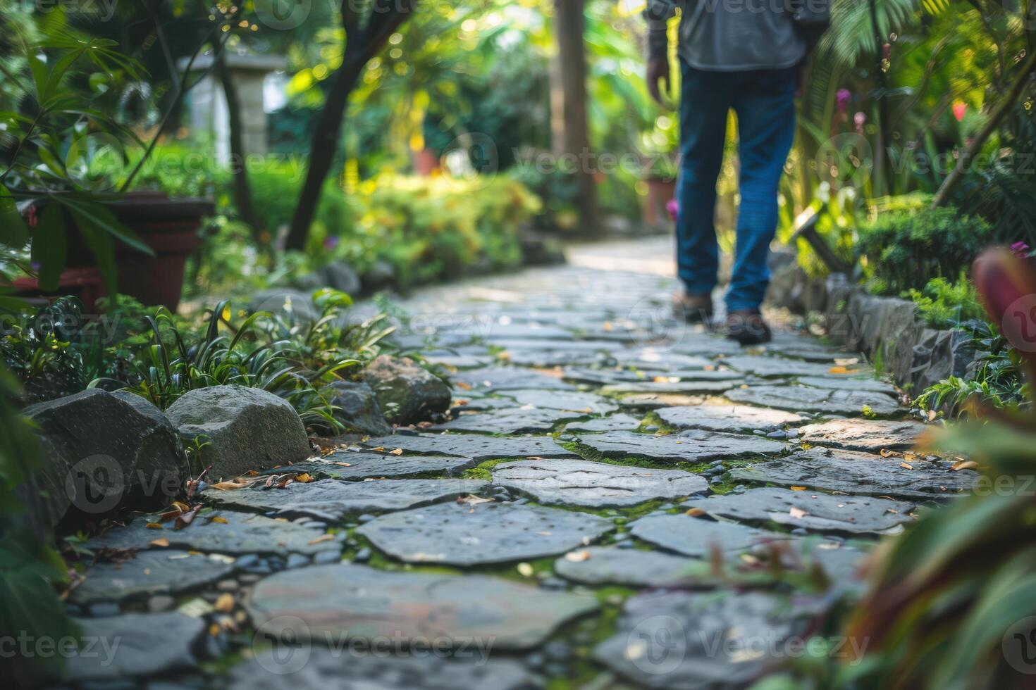 Strolling on a Stone Path Through a Lush Garden Landscape photo