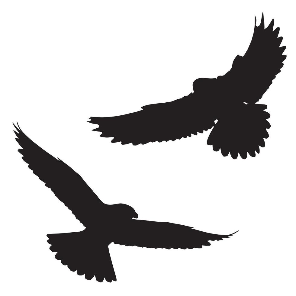 Falcon Silhouette Illustration Bird Sillhouette vector