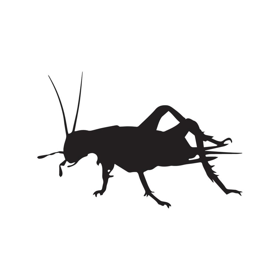 Cricket Insect Silhouette Illustration vector